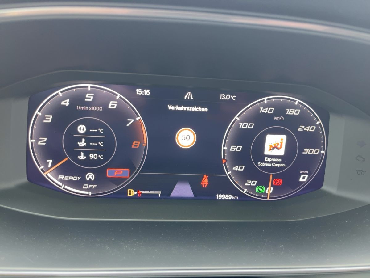 Formentor VZ5 2.5 TSI DSG 4-Drive DCC Beats-Audio LED Navi Kamera Keyless