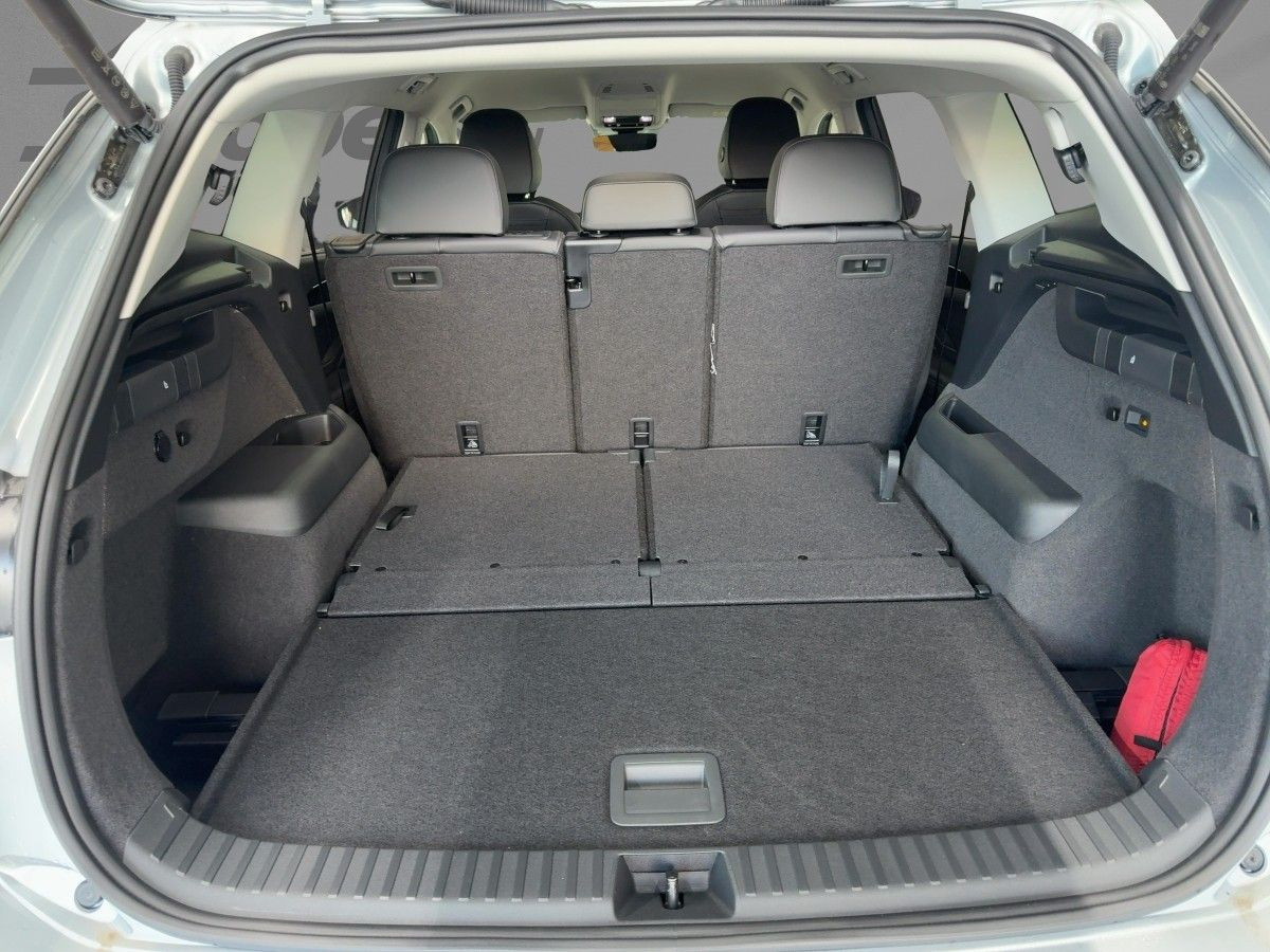 Tayron Life 1,5 l eTSI OPF 110 kW (150 PS) 7-Gang-Doppelkupplungsgetriebe DSG