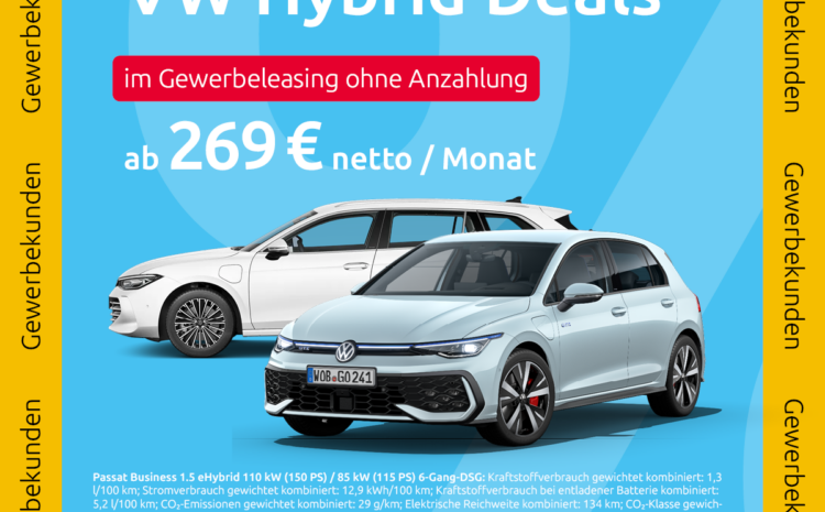  Hybrid Leasing Gewerbe