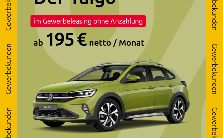  Taigo Leasing Gewerbe