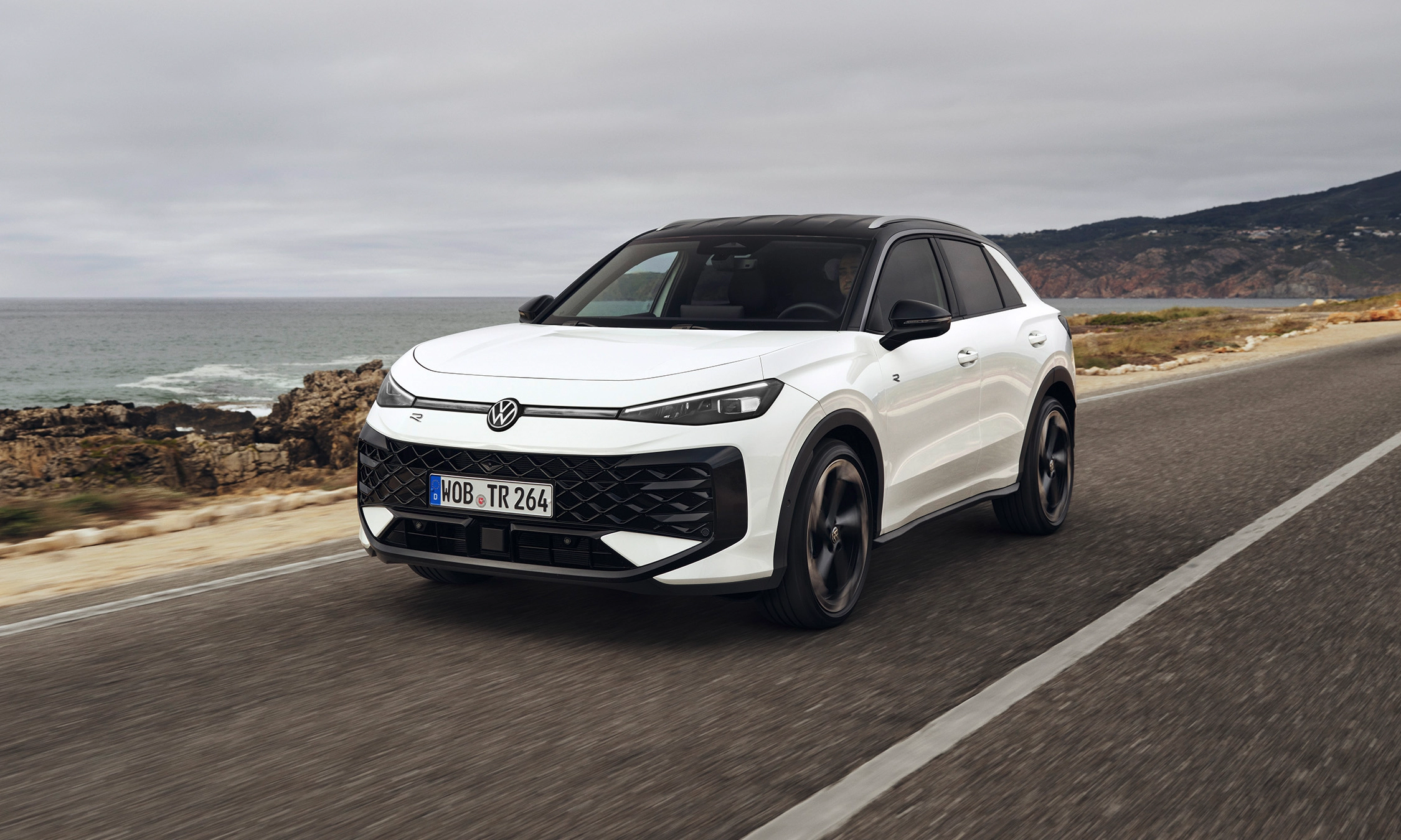 t-roc_lagerwagen_5-3