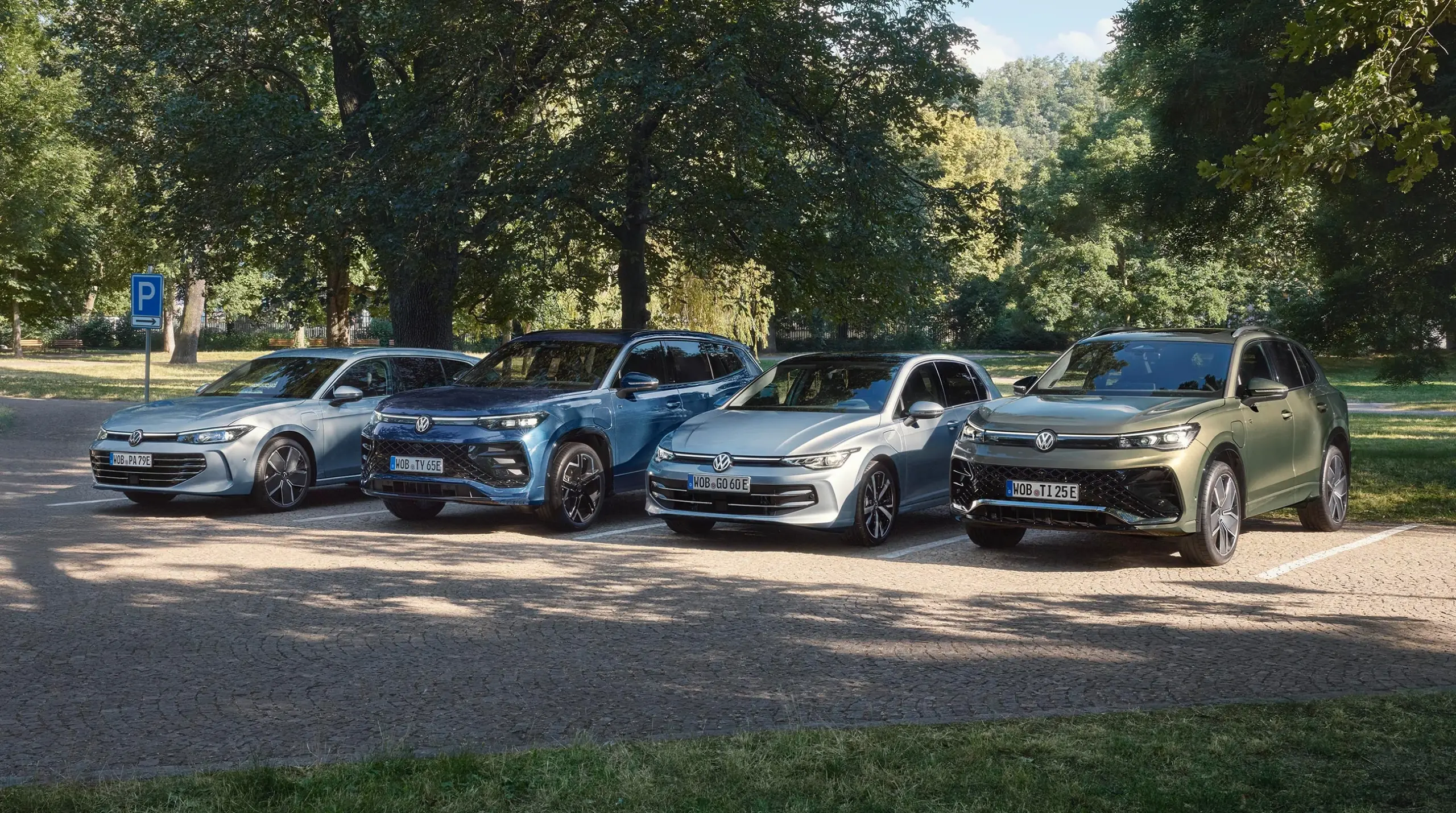 leasing-phev-professional-class-website-header